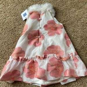 Pink Janie and Jack 12-18 month dress